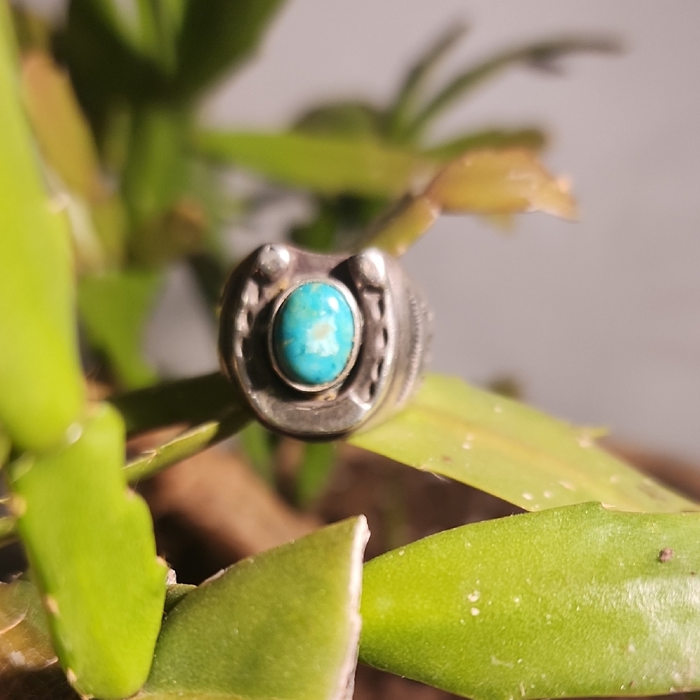 Chad Barela Carico Lake Turquoise Horseshoe Ring